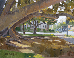 Shade in West Balboa Park
