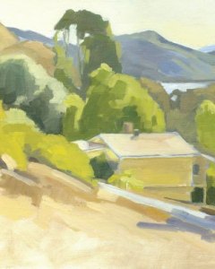 Peek View Lake Hodges