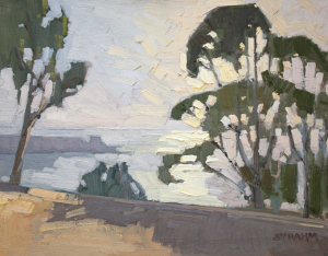 Eucalyptus AboveLa Jolla