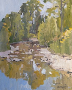 Yellow Creek Reflections