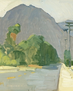 Along HendersonCanyon Road