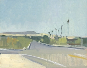 Morning in Borrego