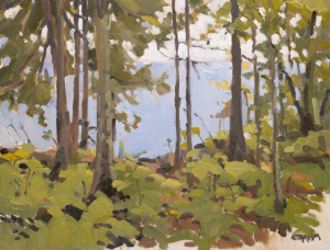 Trees Along Lake Michigan Trees Along Lake Michigan