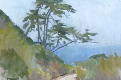 Cypress Near Cabrillo Monument