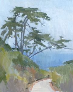 Cypress Near Cabrillo Monument