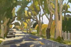 Eucalyptus on E Avenue