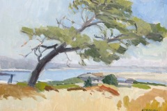Windswept Tree