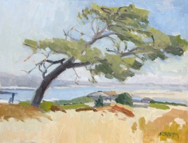 Windswept Tree
