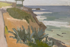 Above Boomer\'s Beach