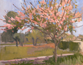 Cherry Blossom Tree