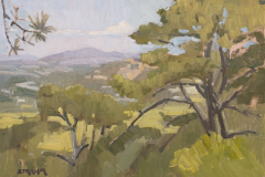 Looking East From Torrey Pines State Reserve