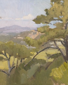 Looking East From Torrey Pines State Reserve