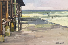 Surfing Next to the Crystal Pier