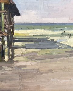 Surfing Next to the Crystal Pier