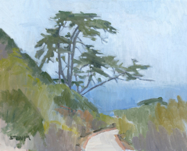 Cypress Near Cabrillo Monument