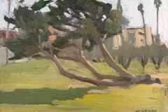 Laying Cypress