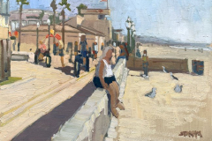 A Day at Mission Beach