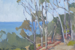 Eucalyptus by UCSD Eucalyptus by UCSD