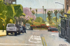 Fir and India Fir and India
