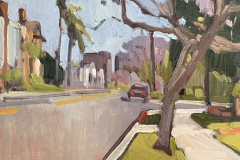 Jacaranda Trees Along First Avenue