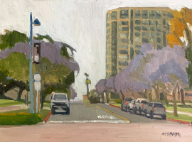Laurel Street Jacarandas