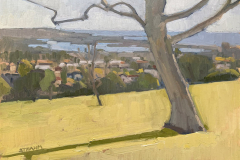 Basking in Early Spring Sunshine