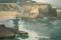 Foggy Afternoon,La Jolla Cove