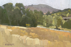 Looking TowardsMt. Soledad