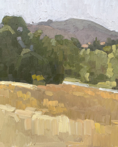 Looking TowardsMt. Soledad