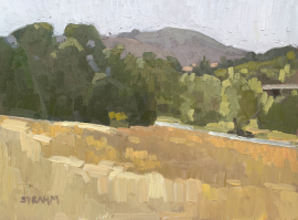 Looking TowardsMt. Soledad