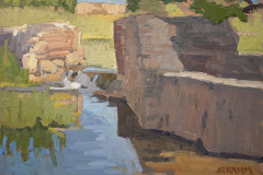 The Old Dam ofMission Trails Park