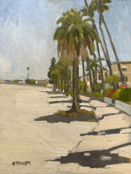 Palm Trees AlongBayside Walk
