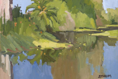 A Return to theSan Diego River