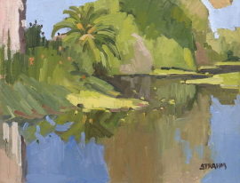 A Return to theSan Diego River