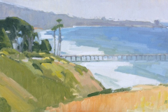 Overlooking Scripps Pier