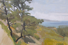 Torrey Pines Looking Toward La Jolla