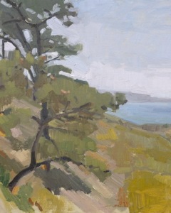 Torrey Pines Looking Toward La Jolla