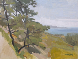 Torrey Pines Looking Toward La Jolla