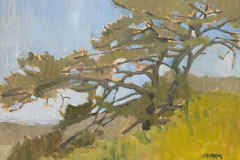 Torrey Pines