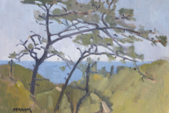 Torrey Pines