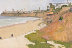 Tourmaline Surfing Park