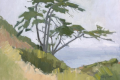 Cypress Tree 1 Cypress Tree 1