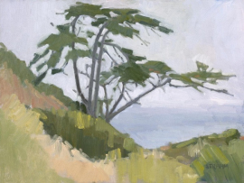 Cypress Tree 1