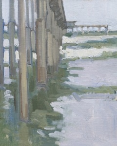 Under the Ocean Beach Pier