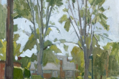 Tall Trees in Villa Portofino