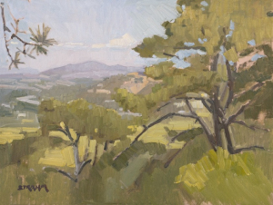 Looking East From Torrey Pines State Reserve