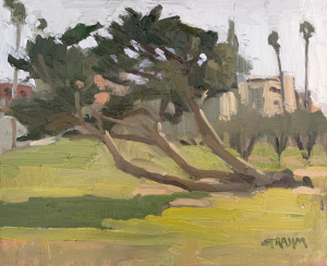 Laying Cypress Laying Cypress