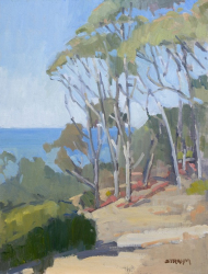 Eucalyptus by UCSD