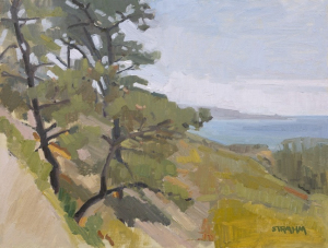 Torrey Pines Looking Toward La Jolla