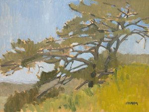 Torrey Pines